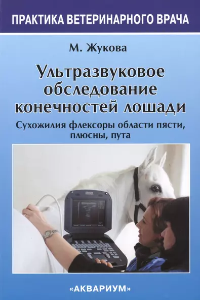 Ультразвуковое обследование конечностей лошади. Сухожилия флексоры области пясти, плюсны, пута. - фото 1