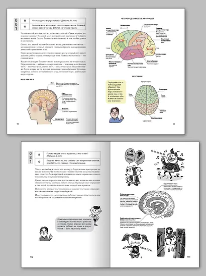 Как заставить работать мозг в любом возрасте. Японская система развития интеллекта и памяти - фото 8