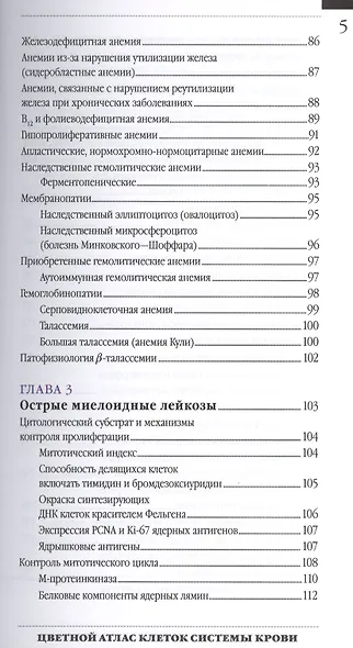 Цветной атлас клеток системы крови Один источник и 4 сост. части миелопоэза (м) Погорелов - фото 4