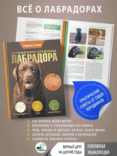 Главная книга владельца лабрадора - фото 4