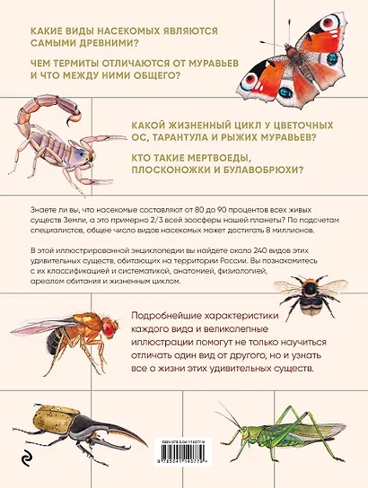 Насекомые. Иллюстрированная энциклопедия начинающего энтомолога - фото 2