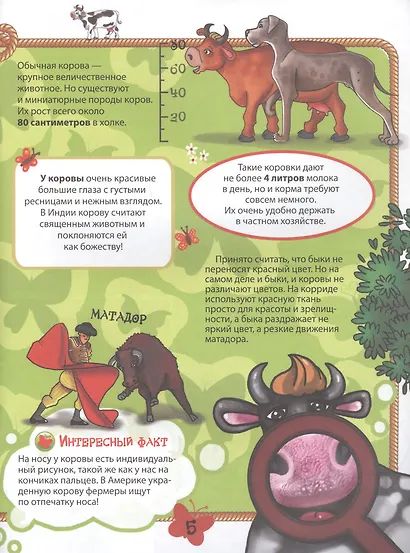 Домашние животные - фото 3