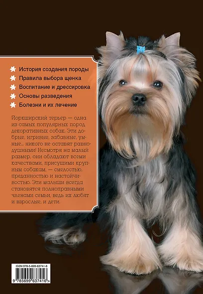 Йоркширский терьер - фото 2