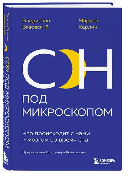 Сон под микроскопом. Что происходит с нами и мозгом во время сна - фото 3