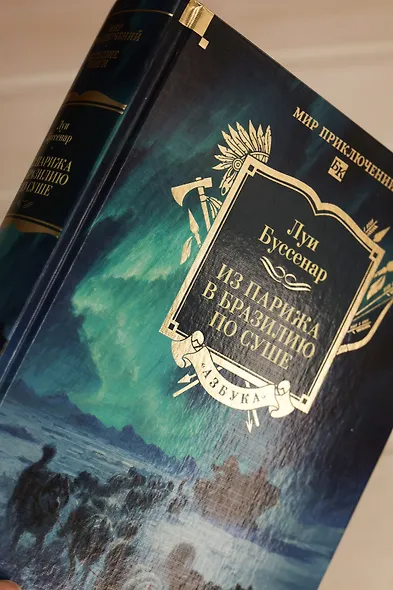 Из Парижа в Бразилию по суше - фото 11