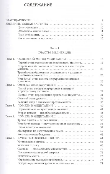 Осознанность, блаженство и за их пределами. Руководство для практикующих медитацию - фото 2