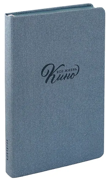 Ежедневник недат. А5 160л "Вся жизнь кино" Пике серо-голубой, кожзам, тв.переплет, тиснение фольгой, офсет, ляссе - фото 11