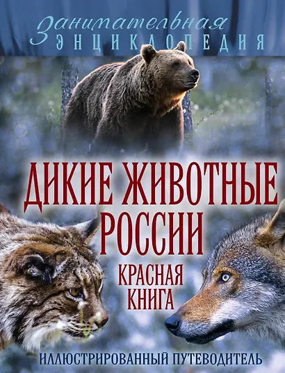 Дикие животные России. Красная книга: иллюстрированный путеводитель - фото 1