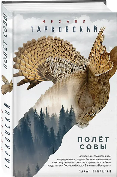 Полёт совы - фото 3