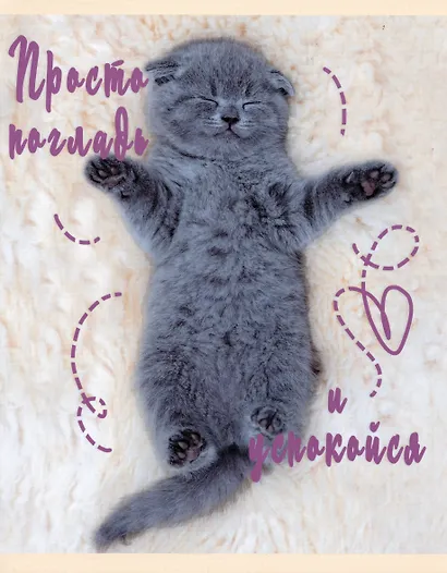 Тетрадь в клетку Listoff, "Погладь котика", 48 листов, в ассортименте - фото 3