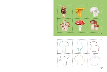 Подбери по контуру - фото 6