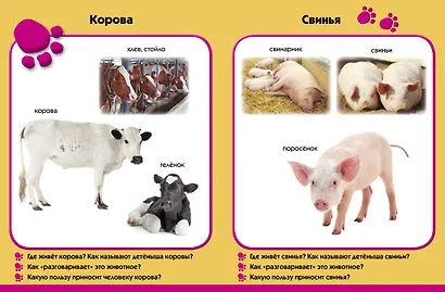 У бабушки в деревне. Развиваем малыша (2-3 года) - фото 2