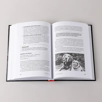 Быстрый старт: Проверенная методика запуска стартапа - фото 15