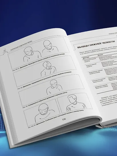 Прикладная кинезиология. Восстановление тонуса и функций скелетных мышц - фото 9