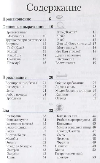 Чешский разговорник и словарь. 6-е изд. - фото 2