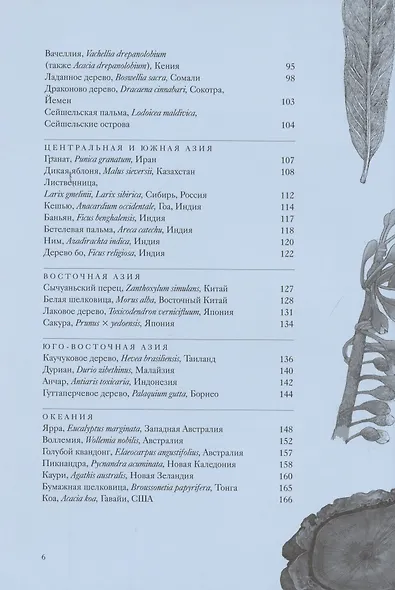 Вокруг света за 80 деревьев - фото 5