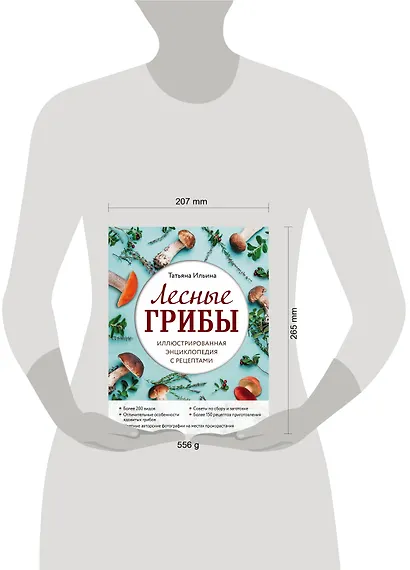 Лесные грибы. Иллюстрированная энциклопедия с рецептами - фото 4