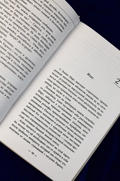 Марс Экспресс. Тэм - фото 13