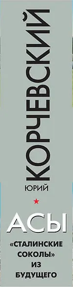 Асы. «Сталинские соколы» из будущего - фото 5