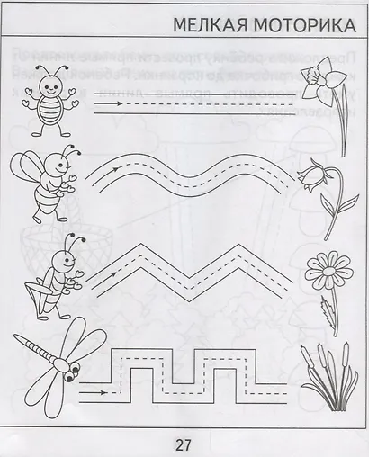 Проверяем знания дошкольника. Тесты для детей 4 года. Часть 1. Внимание, память, мышление, мелкая моторика. - фото 3