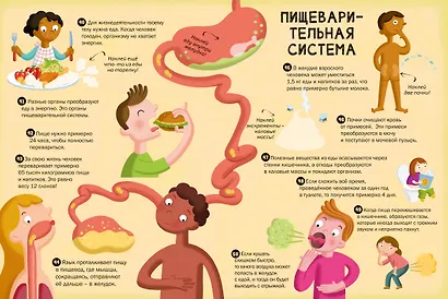 100 Интересных фактов. Мое тело. Наклей и узнай - фото 6