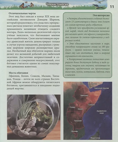Удивительные животные. Энциклопедия - фото 4