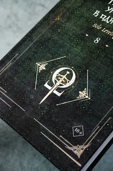 Поднятие уровня в одиночку. Книга 8 (Solo Leveling). Новелла - фото 7