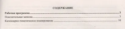 Информатика. 5 класс. Рабочая программа по учебнику Л.Л. Босовой, А.Ю. Босовой. ФГОС - фото 2