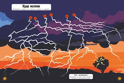 Наша планета в играх и головоломках - фото 6