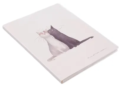 Тетрадь в клетку "Коты. Павлик и Валера", 80 листов - фото 2