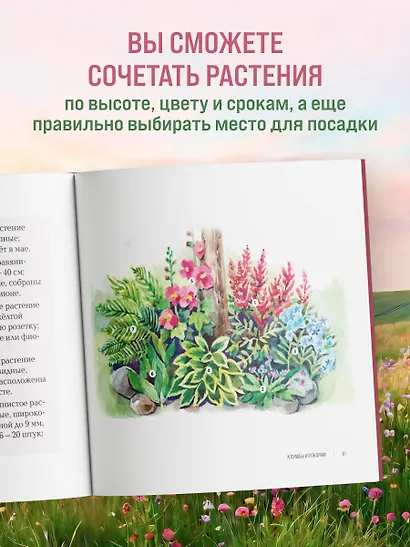 Вдохновляющие цветники. Как создать гармоничные композиции, за которыми легко ухаживать - фото 6