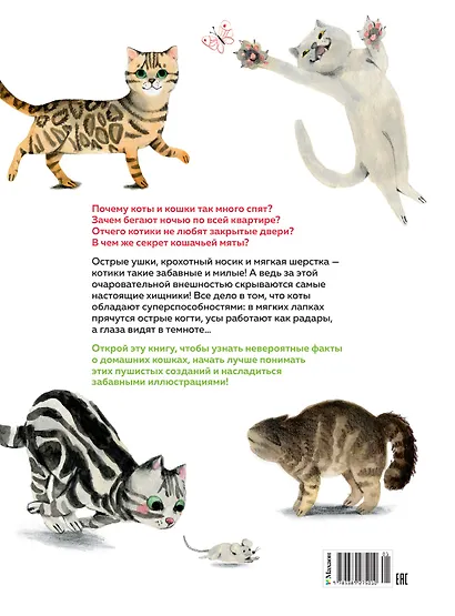 Невероятные коты. Всё, что нужно знать о любимых питомцах - фото 2