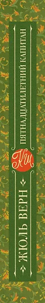 Пятнадцатилетний капитан: роман - фото 4