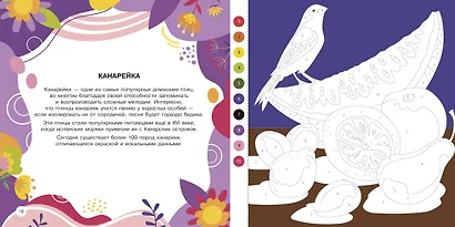 Животные - фото 8