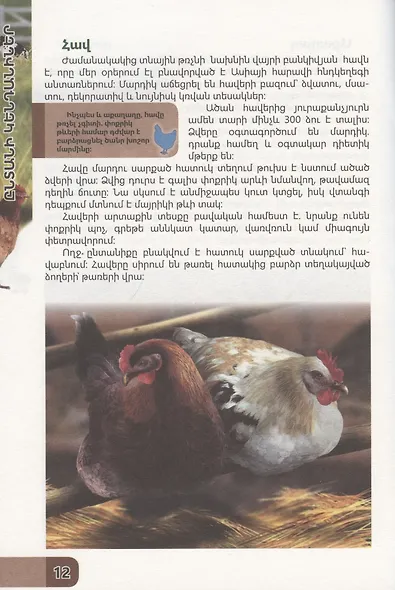 В мире знаний. Домашние животные (на армянском языке) - фото 3