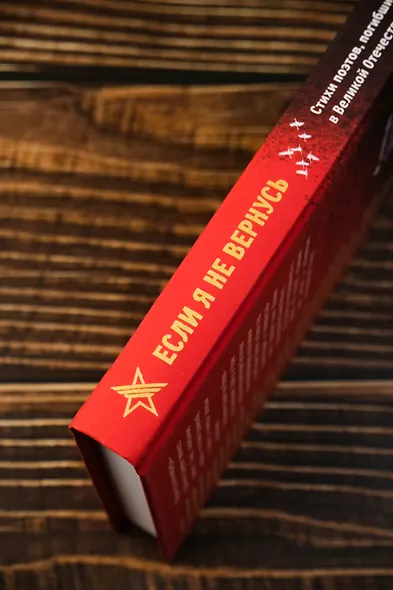 Если я не вернусь. Стихи поэтов, погибших в Великой Отечественной войне - фото 5