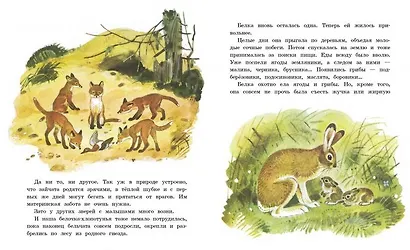 Белочка-хлопотунья - фото 2
