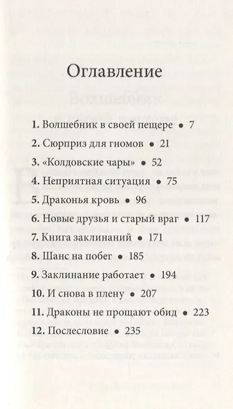 Волшебник Боландского леса - фото 2