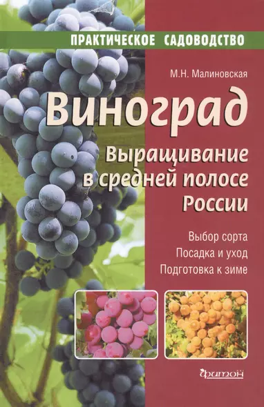 Виноград.Выращивание в средней полосе России.Выбор сорта.Посадка и уход.Подготовка к зиме - фото 1