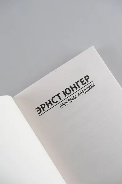 Проблема Аладдина - фото 6