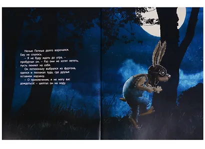 Путешествие на воздушных шариках - фото 4