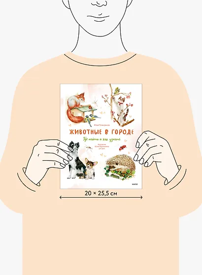 Животные в городе. Где найти и как узнать - фото 8