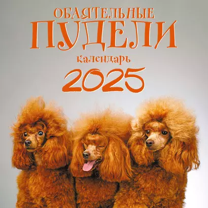 Календарь 2025г 300*300 "Пудели" настенный, на скрепке - фото 1