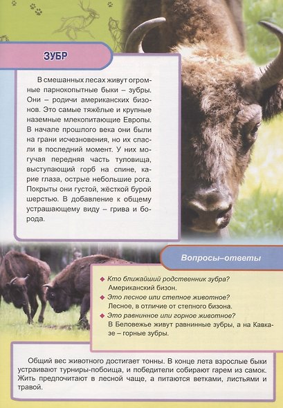 Животные и птицы Европы - фото 5
