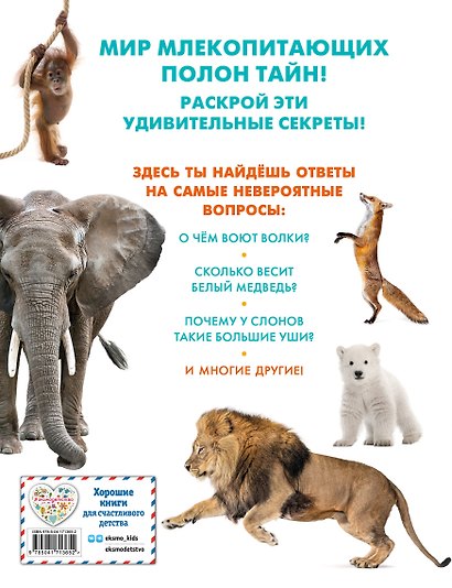 Млекопитающие - фото 2