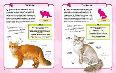Кошки - фото 8
