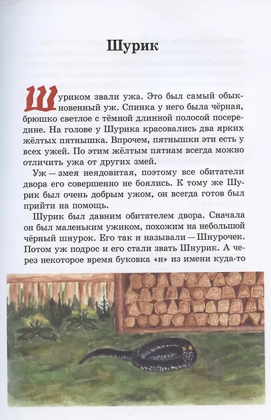 Необыкновенные истории про Кнопа и его друзей - фото 7