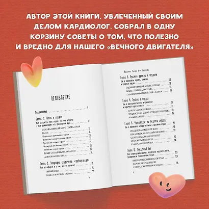Тук-тук, сердце! Как подружиться с самым неутомимым органом и что будет, если этого не сделать - фото 5