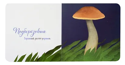 Где твой гриб? - фото 4