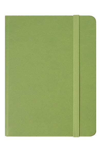 Ежедневник недатированный «Joy Book» А6, чай матча, 136 листов, экокожа, Joy Book - фото 2